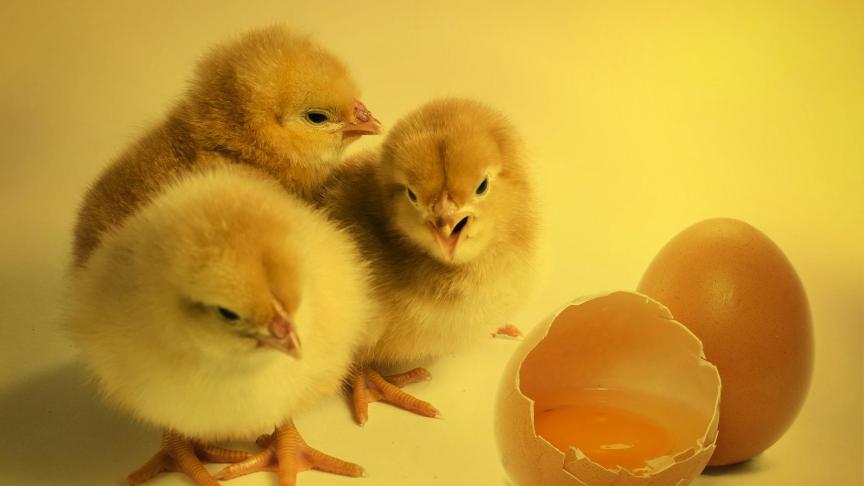 L'origine de la vie enfin expliquée par la science ?