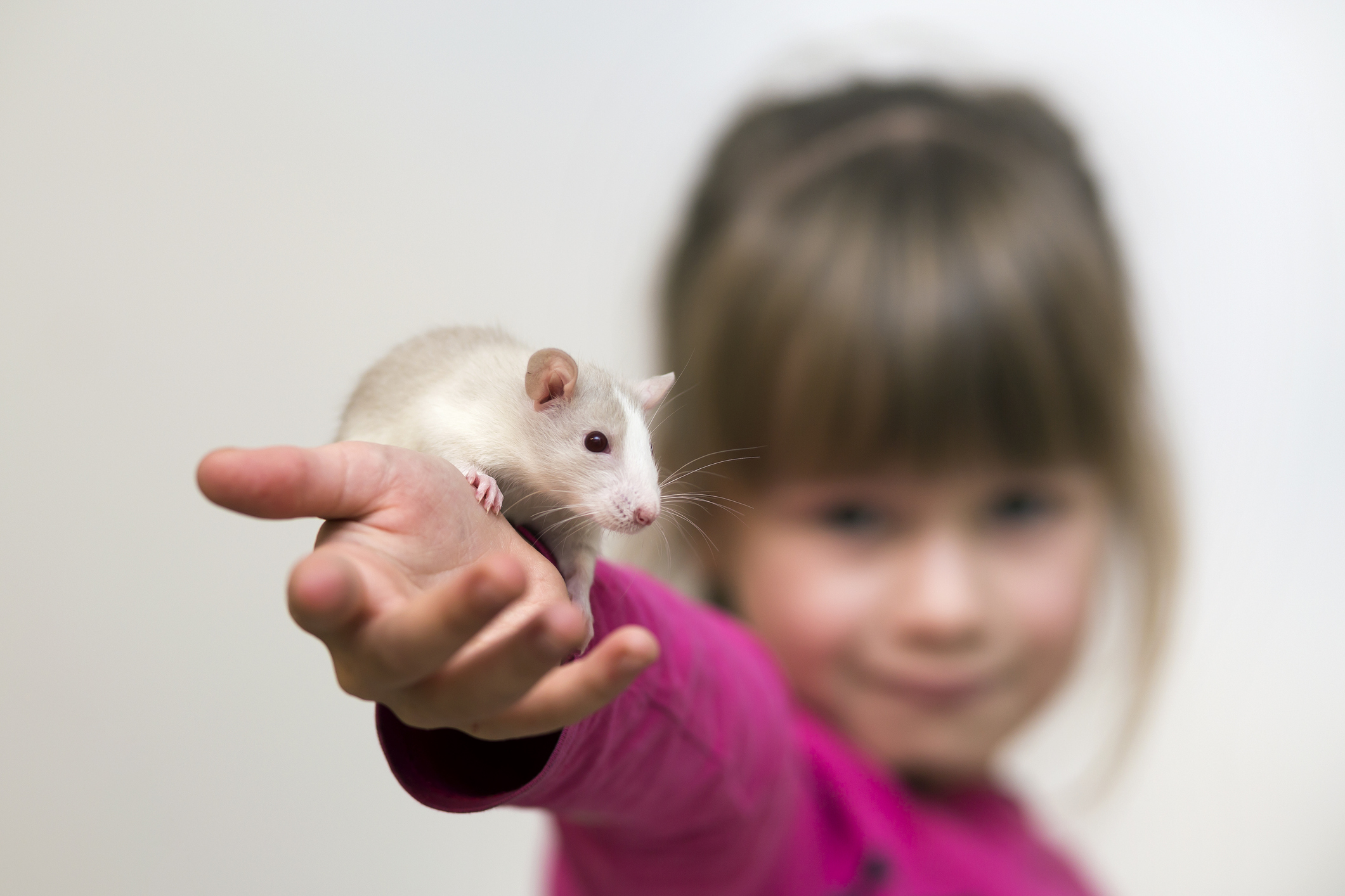 Les riches mettent en péril l'avenir de leurs enfants : les enfants de l'élite sont-ils en train de devenir des cobayes de l'intelligence artificielle ?